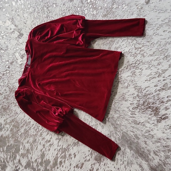 Anthropologie Sunday In Brooklyn Puff Sleeve Velvet Blouse SzXS - Picture 4 of 7